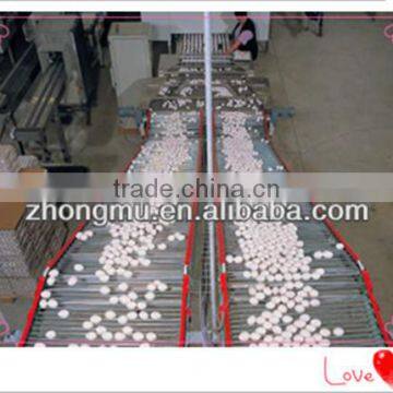 Full Automatic egg collection machine for chicken cage in farm