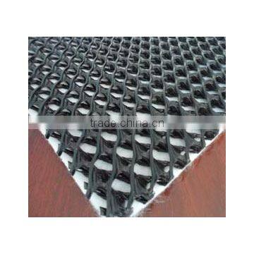 Geonet geocomposite and drainge net