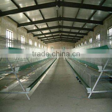 Modular Steel Frame Poultry farm