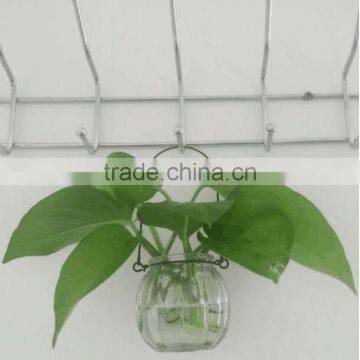 Hang Transparent Glass Vase/Other Copper Grass Plants Hang Bottle Hydroponic Flower Pot photo-2