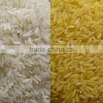 Aritifical rice processing line