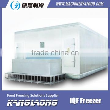 Large Output Cryogenic Freezing Tunnel Made In China