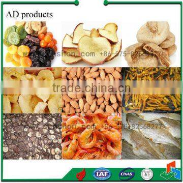 Fruit and Vegetable Processing Line photo-6