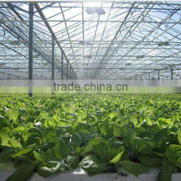 Large Size 3 Layer Film Cover Greenhouse for Agricultural photo-2
