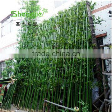 SJLJ013723 High Quality Artificial Bamboo Stick Plastic Evergreen Bamboo Plant photo-3