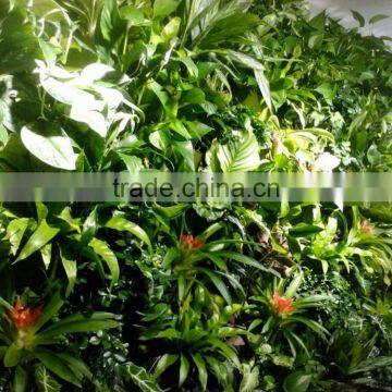 Eco-friendly Green Wall Artificial /fake Wall Plant for Indoor/outdoor Decorative photo-3