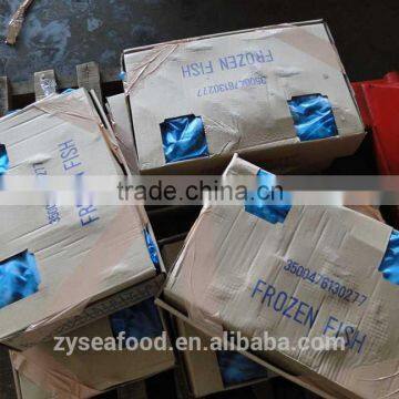 Frozen Sardine Fish photo-6