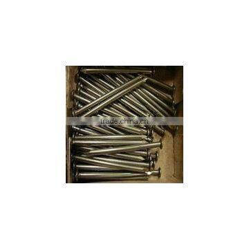 Цена железных гвоздей/фантазийных гвоздей photo-3