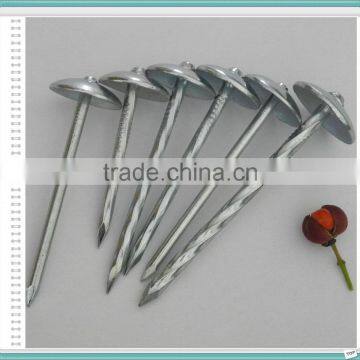 China 2.5" Umbrella Roofing Nail photo-5