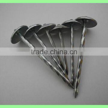 Kenya Umbrella Roofing Nails