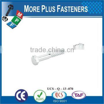 Made in Taiwan Drilling Lag Screw Stainless Steel Lag Screw Wood Screw photo-2
