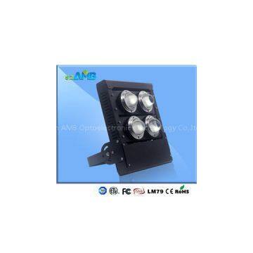 LED Flood Light