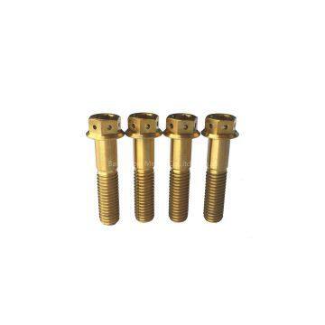 Customized CNC machining titanium hex socket flange head screw Grade 5 (Ti-6Al-4V) Gr5 titanium hex flange head