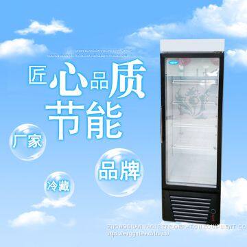 Hotel Refrigerator Single-door Refrigerator Guangdong Commercial Beverage Refrigerator Factory photo-2