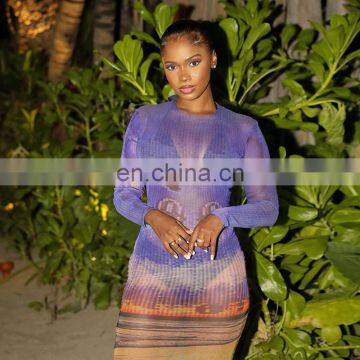 LAITE D2199 Autumn&winter See-through Maxi Casual Dresses Women Fashion Printed Sexy Dresses photo-6