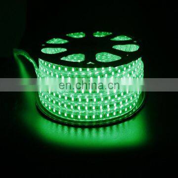 5050 Chip RGB Led Strip Light 110V 220V Waterproof Flexible Tube Lighting Stripe