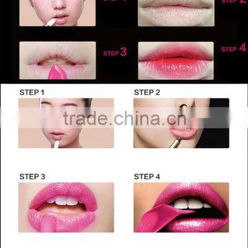 Wholesale lipstick tube cheap lipstick no name lipstick