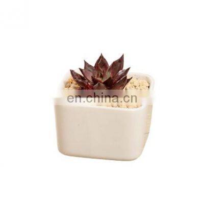 ceramic white square succulent plant pot