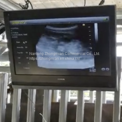 Animal Ultrasonic Detection Sets for Cow, Horse, Pets Etc. Palm Scanner photo-2