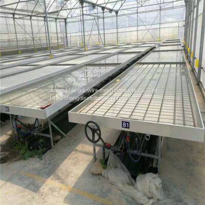 Tidal Irrigation Mobile Seedbed photo-2