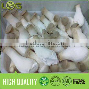 High Quality Fresh King Oyster photo-2