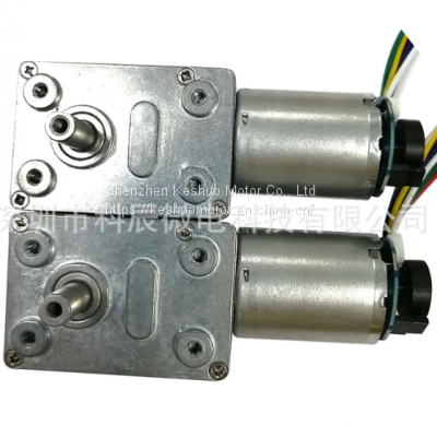 370 Worm and Gear Micro Reduction Motor With Encoder photo-3
