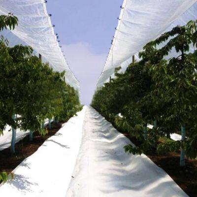 Cherry Rain Cover Tarpaulin