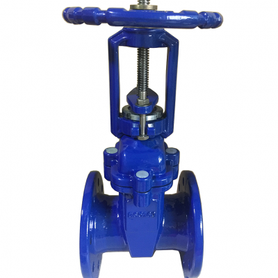 Face to Face F4 Resilient Seated DIN Gate Valve With Rising Stem photo-4