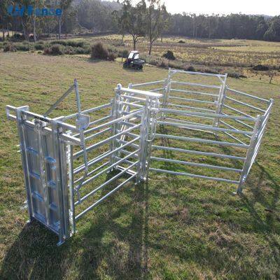 Haute qualité, clôtures pour moutons et chèvres en panneaux en acier métallique soudé galvanisé d'Australie en vente