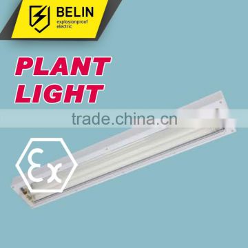 Explosion proof Fluorescent Lamp