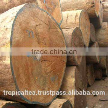 Best price Talauma Gioi A.Chev Laos wood new 2015