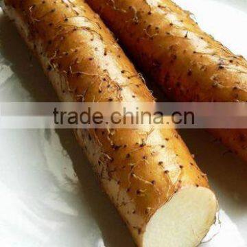 Naturally-grown Wild Yam Iron Polyphenol Content 20% photo-3