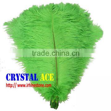 Wholesale colourful Dyed Ostric Feather, Feather ostric plumes for Carnival costumes