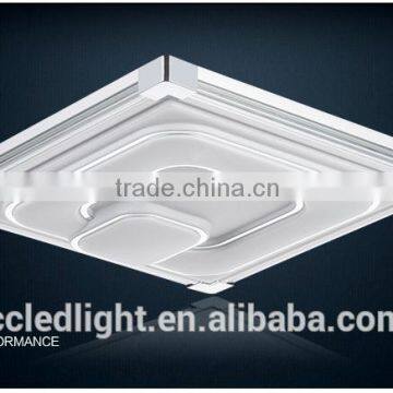 Hot sales Art ceiling mounted light 48w China ceiling lamp