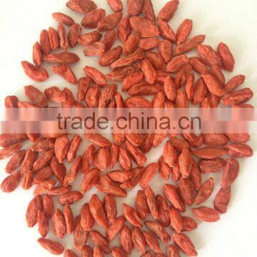 goji berry company
