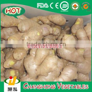 300g Air Dried Ginger with 12kg/pvc box for UK Market