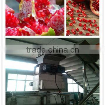 Pomegranate arils processing machine