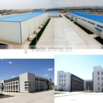 Hami Melon Seeds For Sale photo-5