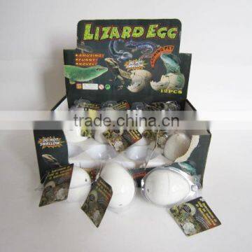 2015 Novelty Growing Easter Fowl Hen Grow in Water photo-4