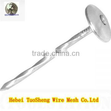 hot sale factory supply high quality low carbon construction umbrella head roofing twisted concrete nails