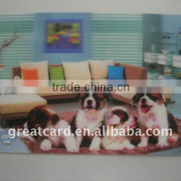 PET Animal 3D Decorative Painting