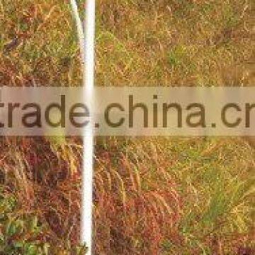 solar road lamp