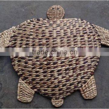 DAW02	Water hyacinth turtle