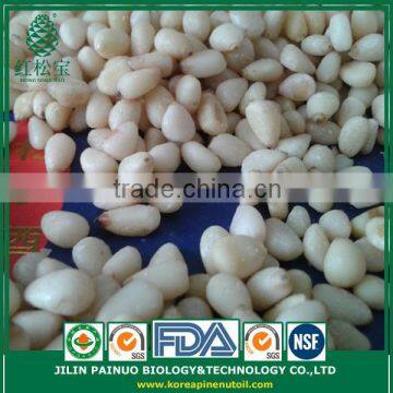 Bulk Factory Direct Organic Masson Pine Nut Kernels