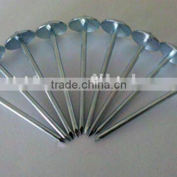 11gauge Galvanized Roofing Nail With Umbrella Head and Washer