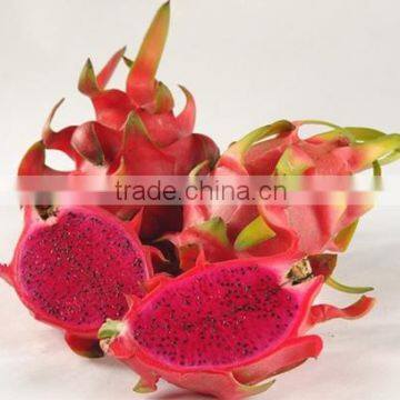 Red Heart Fresh Dragon Fruit