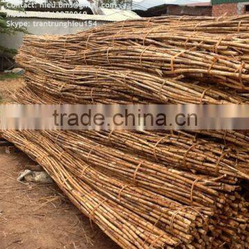 Powder rattan cane 18-22mm