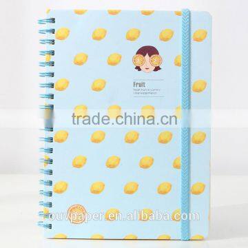 a4 Plastic Cover Bulk Cheap Spiral Notebooks photo-3