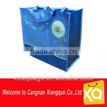 PP Woven Fancy Cheap Shopping Bag