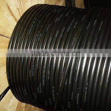 450V Electric Wire with XLPE Insulation